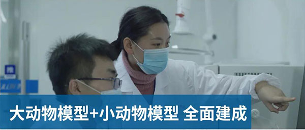 大动物模型和小动物模型全面建成.jpg 大动物模型和小动物模型全面建成.jpg