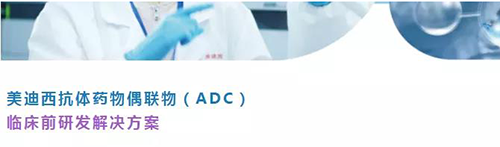 AG真人国际(中国)官方官网抗体药物偶联物(ADC)临床前研发解决方案.png AG真人国际(中国)官方官网抗体药物偶联物(ADC)临床前研发解决方案.png