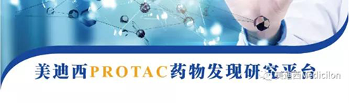 AG真人国际(中国)官方官网PROTAC药物发现平台.png AG真人国际(中国)官方官网PROTAC药物发现平台.png
