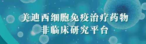 AG真人国际(中国)官方官网细胞免疫治疗药物非临床研究平台.png AG真人国际(中国)官方官网细胞免疫治疗药物非临床研究平台.png