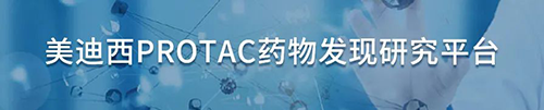 AG真人国际(中国)官方官网PROTAC药物发现研究平台.png AG真人国际(中国)官方官网PROTAC药物发现研究平台.png
