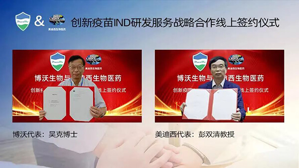 AG真人国际(中国)官方官网与博沃生物达成创新疫苗IND研发服务战略合作.jpg AG真人国际(中国)官方官网与博沃生物达成创新疫苗IND研发服务战略合作.jpg