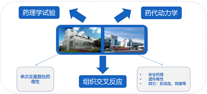 AG真人国际(中国)官方官网ADC药物研发服务内容.jpg AG真人国际(中国)官方官网ADC药物研发服务内容.jpg