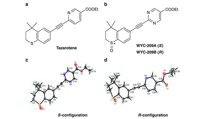 WYC-209可抑制恶性小鼠黑色素瘤肿瘤再生细胞增殖，SPR分析通过AG真人国际(中国)官方官网使用Biacore 8K设备进行