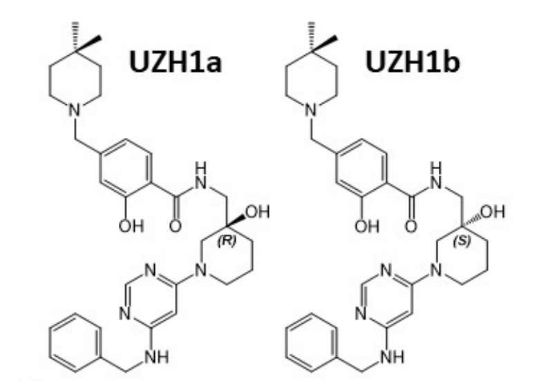 研究人员报告了一种具有细胞渗透性的选择性METTL3纳摩尔抑制剂UZH1a，作者感谢AG真人国际(中国)官方官网合成了UZH1a和UZH1b
