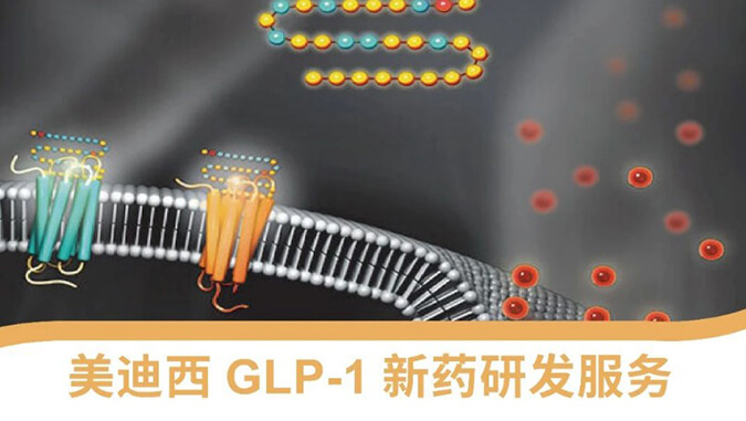 “GLP-1”新药研发服务平台.jpg “GLP-1”新药研发服务平台.jpg