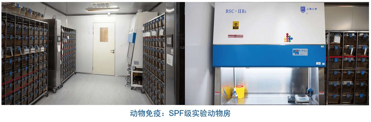 AG真人国际(中国)官方官网杂交瘤技术平台设备-动物免疫SPF级实验动物房